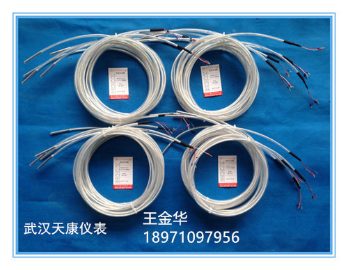 武汉天康Pt100导线式整体防腐铂热电阻TKWZPF-025通过ISO9001认证,电池厂电镀厂专用
