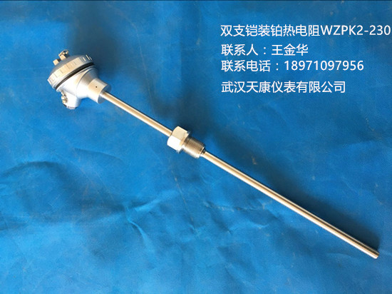 武汉天康单支Pt100铠装铂热电阻WZPK-230通过ISO9001质量认证,厂家直销