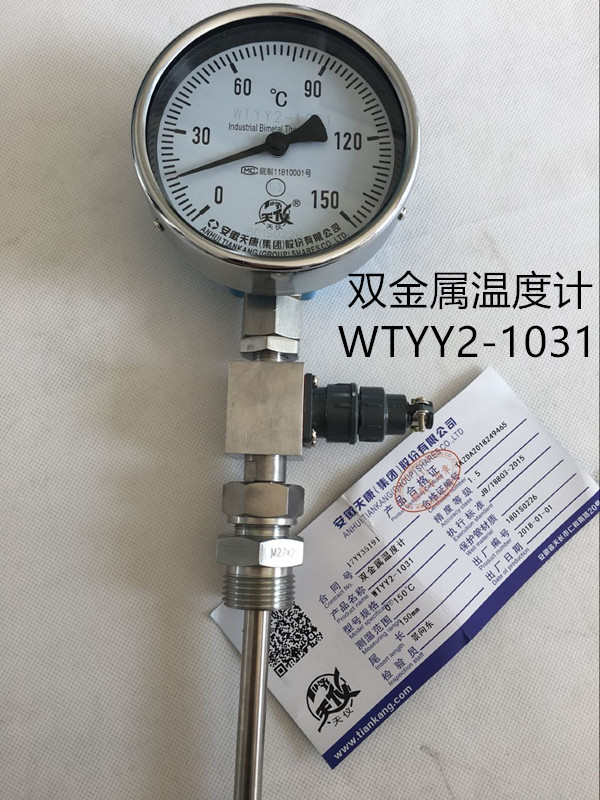 双支远传双金属温度计WTYY2-1031
