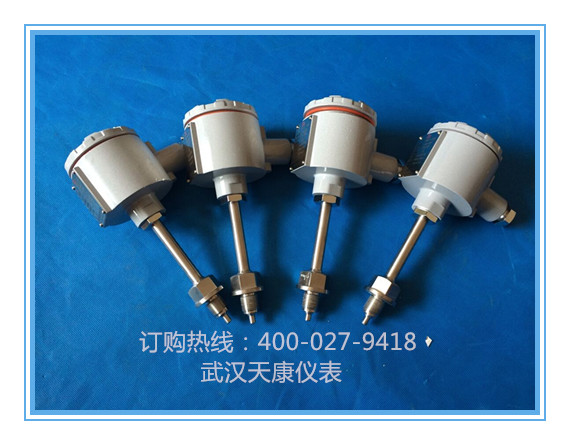 武汉K型热电偶价格?武汉K型热电偶去哪儿批发?武汉K型热电偶生产厂家?