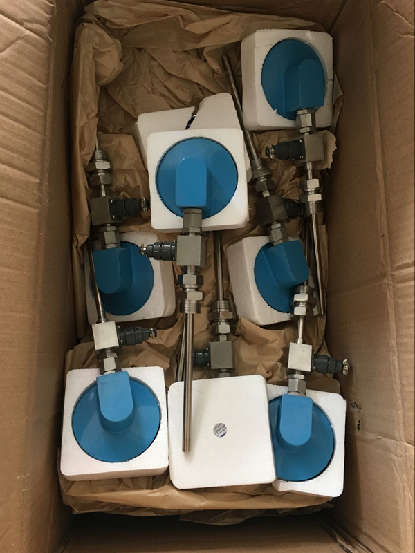 双支远传双金属温度计WTYY2-1031