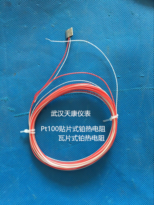 武汉天康贴片瓦片式铂电阻WZPT-05百度询价?