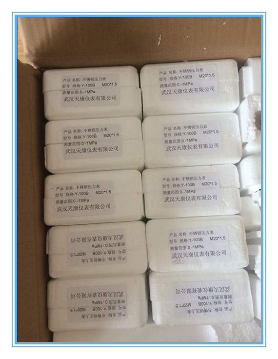 全不锈钢隔膜压力表